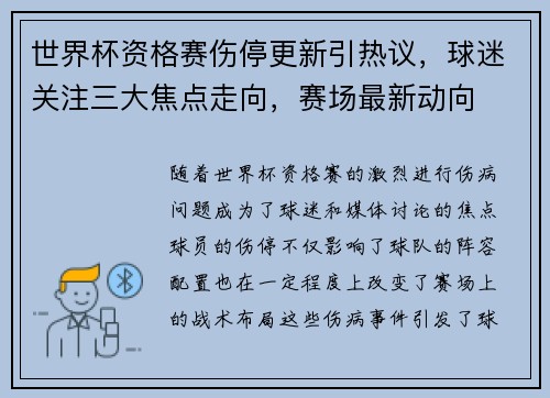世界杯资格赛伤停更新引热议，球迷关注三大焦点走向，赛场最新动向